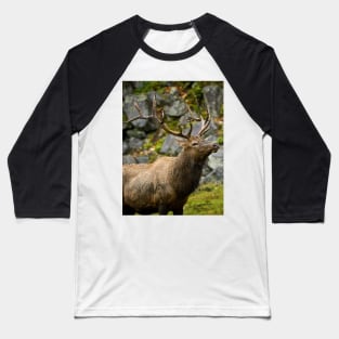 Elk Baseball T-Shirt